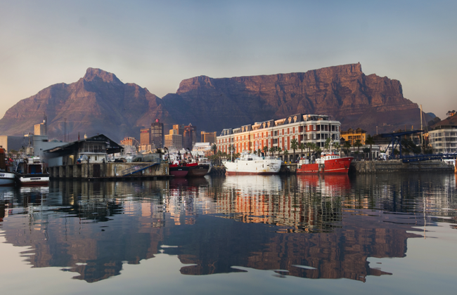 The Best of Cape Town - Full-Day Private Tour - Foto 5